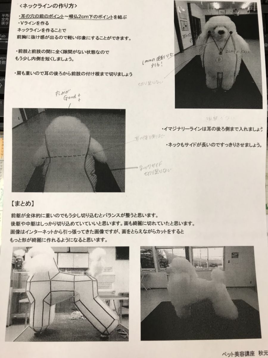 犬体モデルのカットアドバイス | ペット専門通信資格の【日本ケンネル