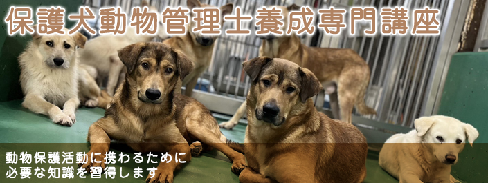 保護犬動物管理士養成専門講座