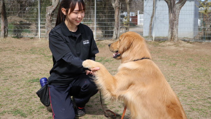 ペットトレーニング学科とは？