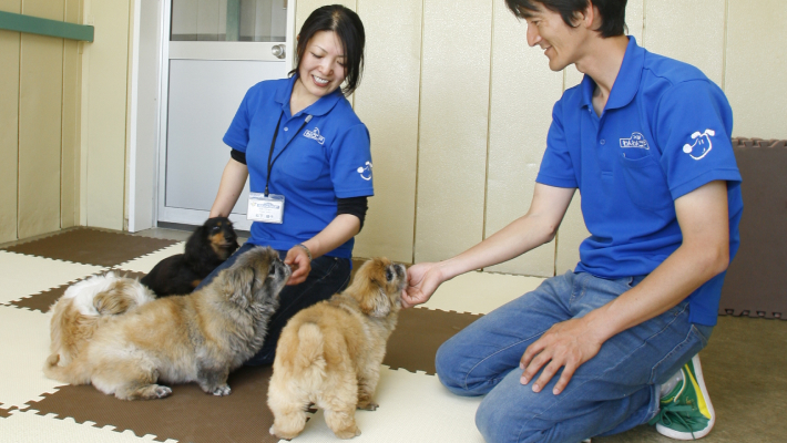 ペット検査介護学科