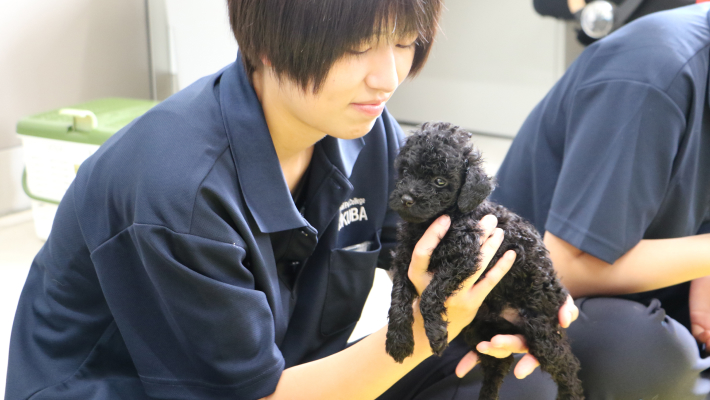 ペットブリーディング学科