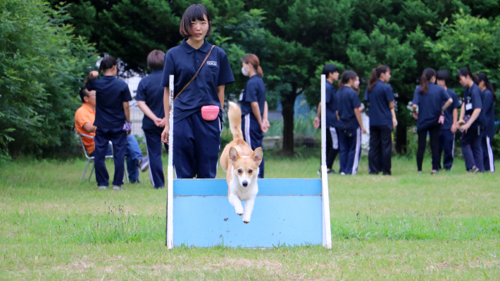 ドッグトレーナー基礎講座